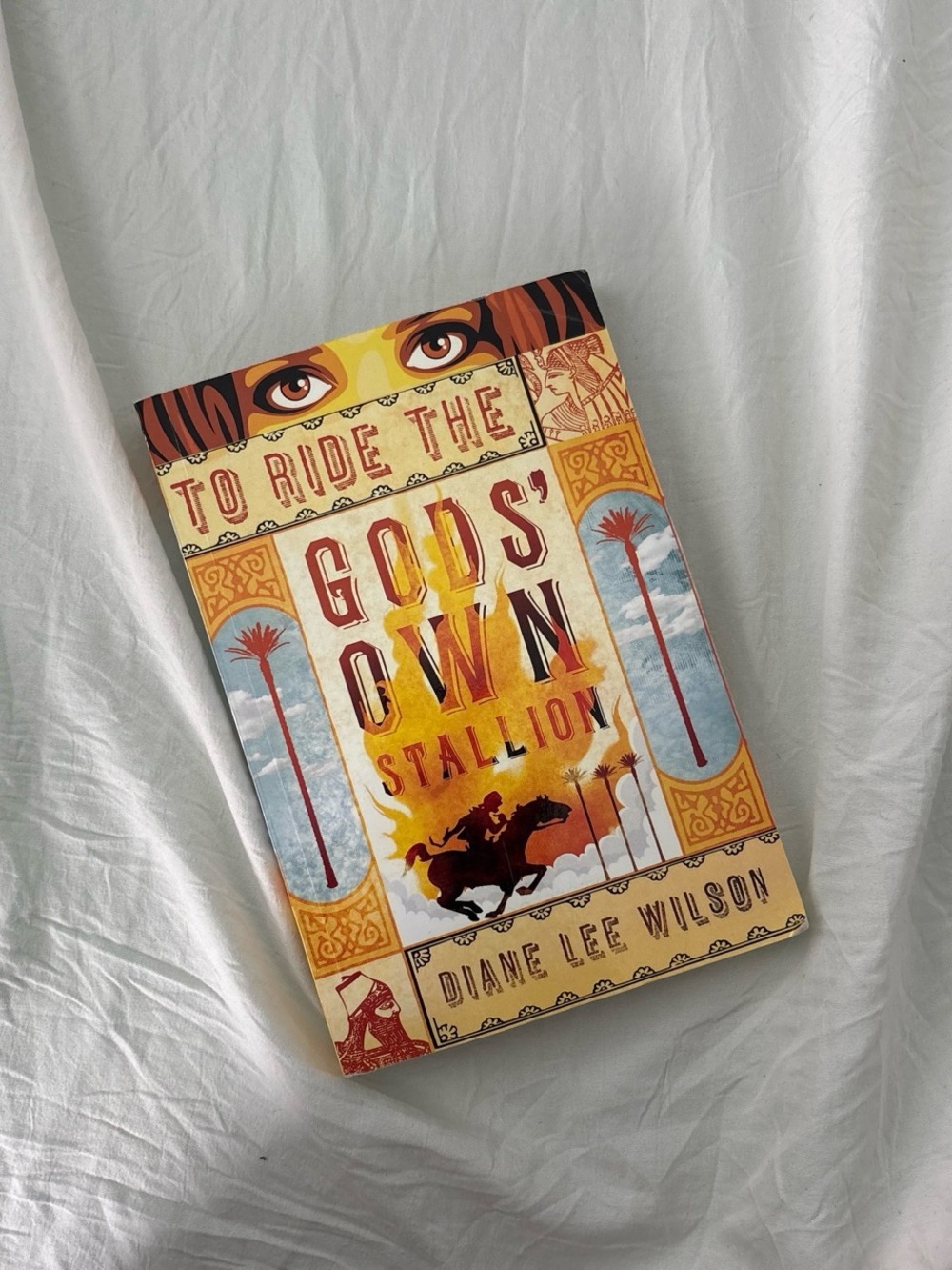 To Ride the God's Own Stallion by Diane Lee Wilson - Yellow & Orange Cover